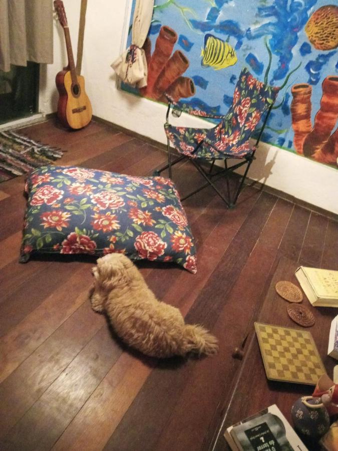 Apartmán Bed&Potato Studio Ilha Grande - Casa Inteira Para Ate 4 Pessoas Exteriér fotografie